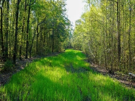 Dunwoody Dr. Farm