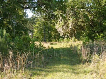 Strawberry Hill