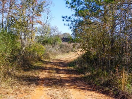 Burgess Road
