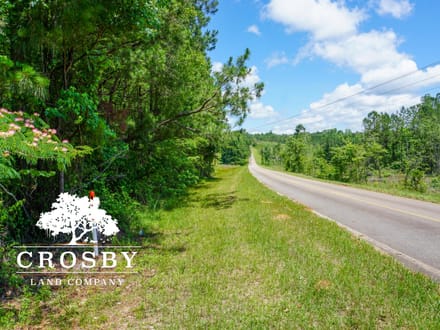 Ripley Tract