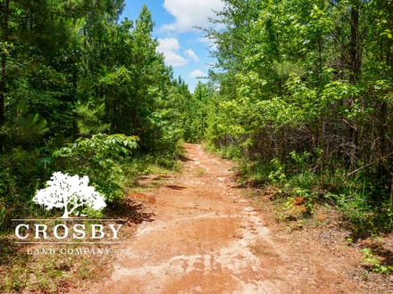 Ripley Tract