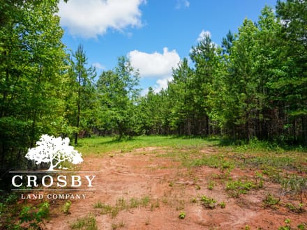 Ripley Tract