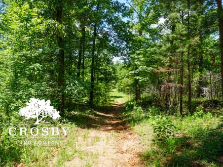Ripley Tract