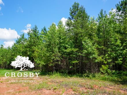 Ripley Tract