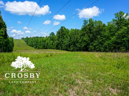 Ripley Tract