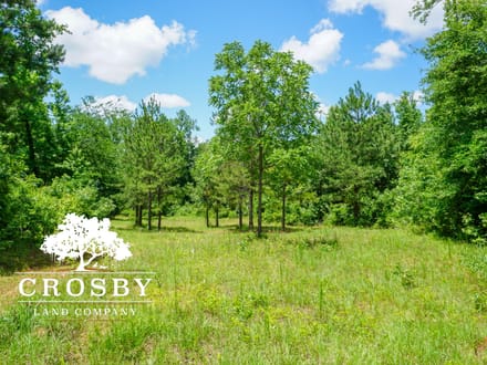 Ripley Tract