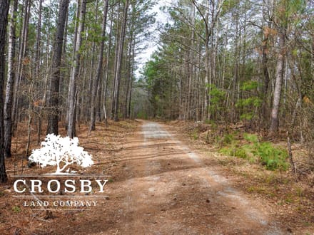 Whispering Pines