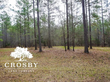 Whispering Pines