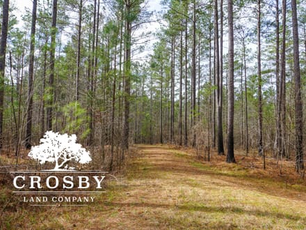 Whispering Pines