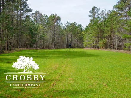 Whispering Pines