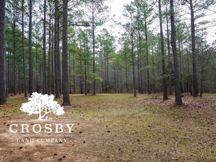 Whispering Pines