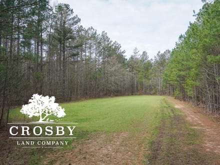 Whispering Pines