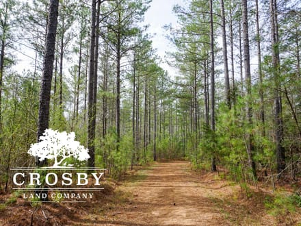 Whispering Pines