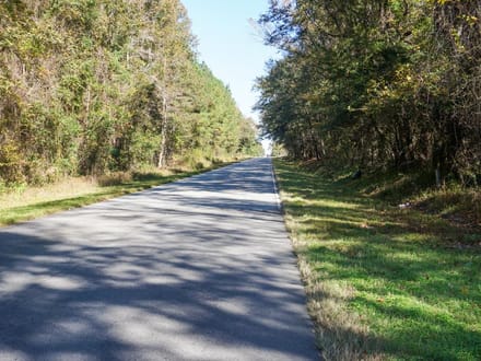Williams Road