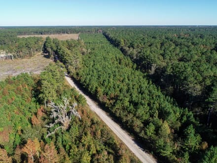 Tyler Tract