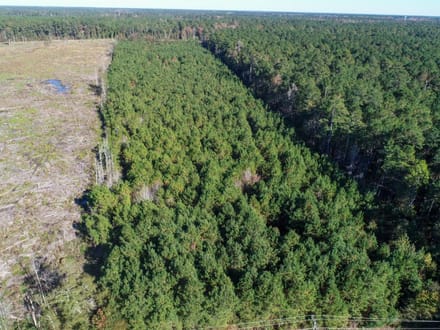 Tyler Tract
