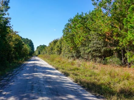 Tyler Tract