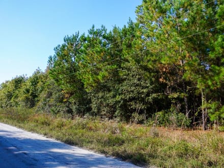 Tyler Tract