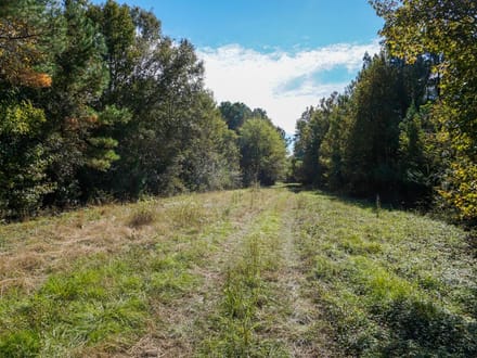 Tyler Tract