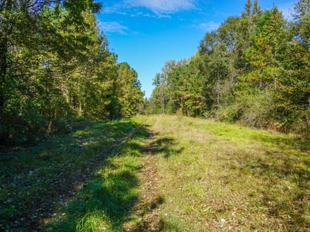 Tyler Tract