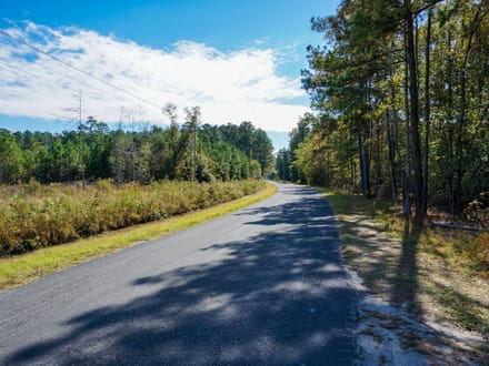 Lumber Road