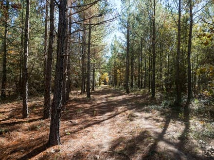 Belger Road