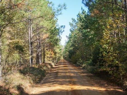 Belger Road