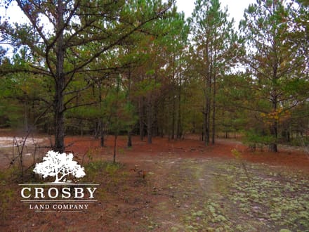 Usry Tract