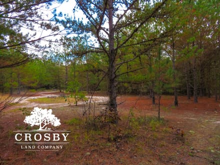 Usry Tract