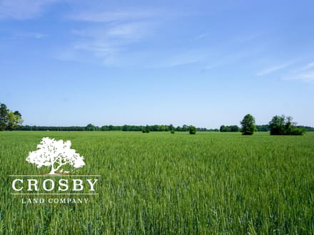 Beauty Spot Road Farm