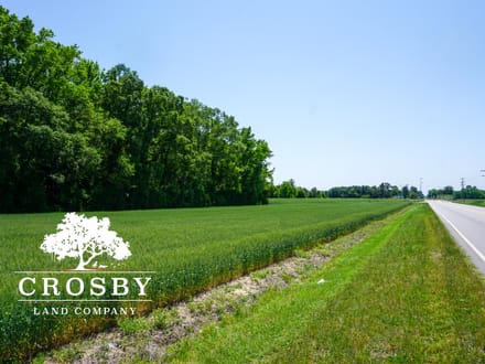 Beauty Spot Road Farm