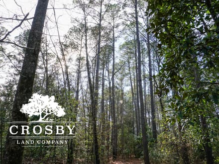 Cypress Creek Tract