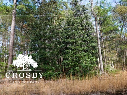 Cypress Creek Tract