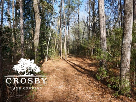 Cypress Creek Tract