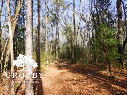 Cypress Creek Tract