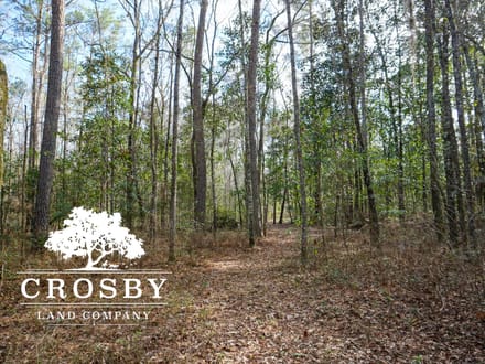 Cypress Creek Tract