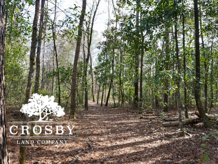 Cypress Creek Tract