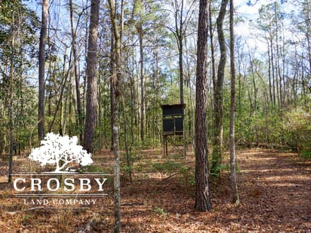 Cypress Creek Tract