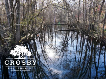 Cypress Creek Tract
