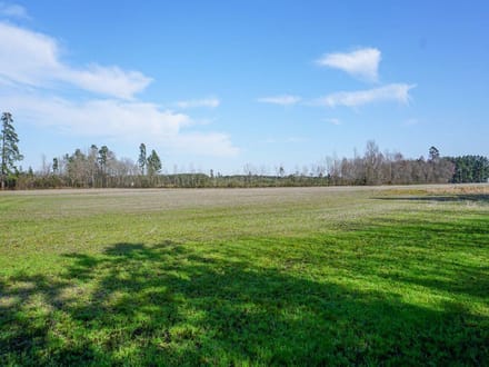 Shelley Farm