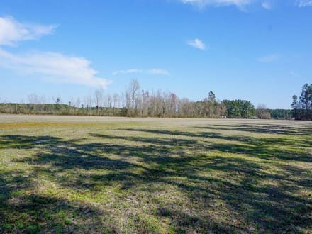 Shelley Farm