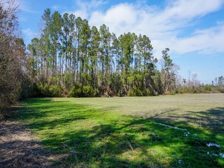 Shelley Farm
