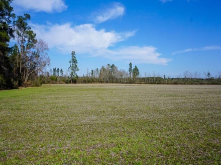 Shelley Farm