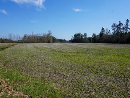 Shelley Farm