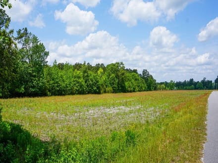 Nichols Farm