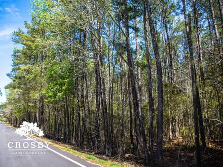 Edisto River Tract