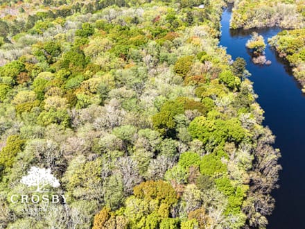 Edisto River Tract