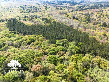 Edisto River Tract