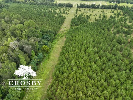 Nelson Tract