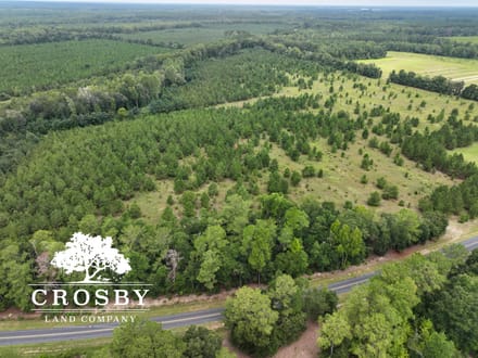 Nelson Tract